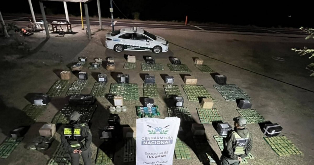 Incautan más de 330 kilos de hojas de coca