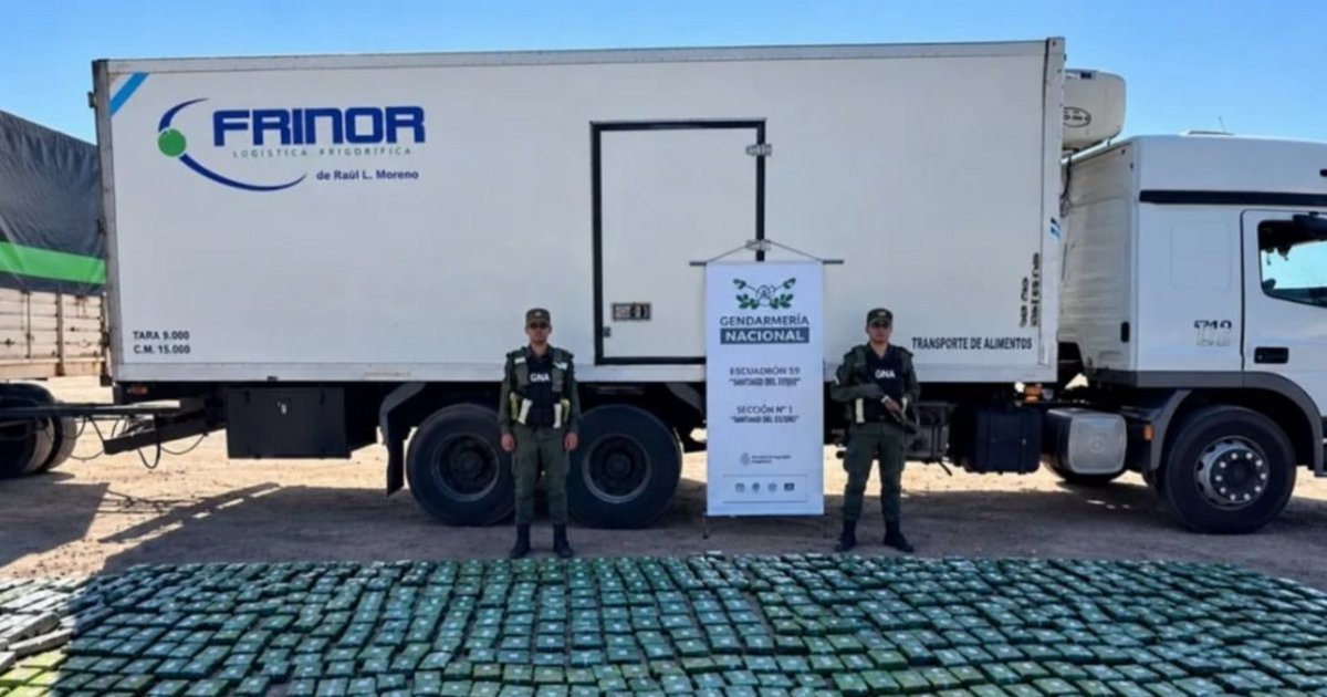 Secuestraron 393 kilos de hojas de coca en un camión