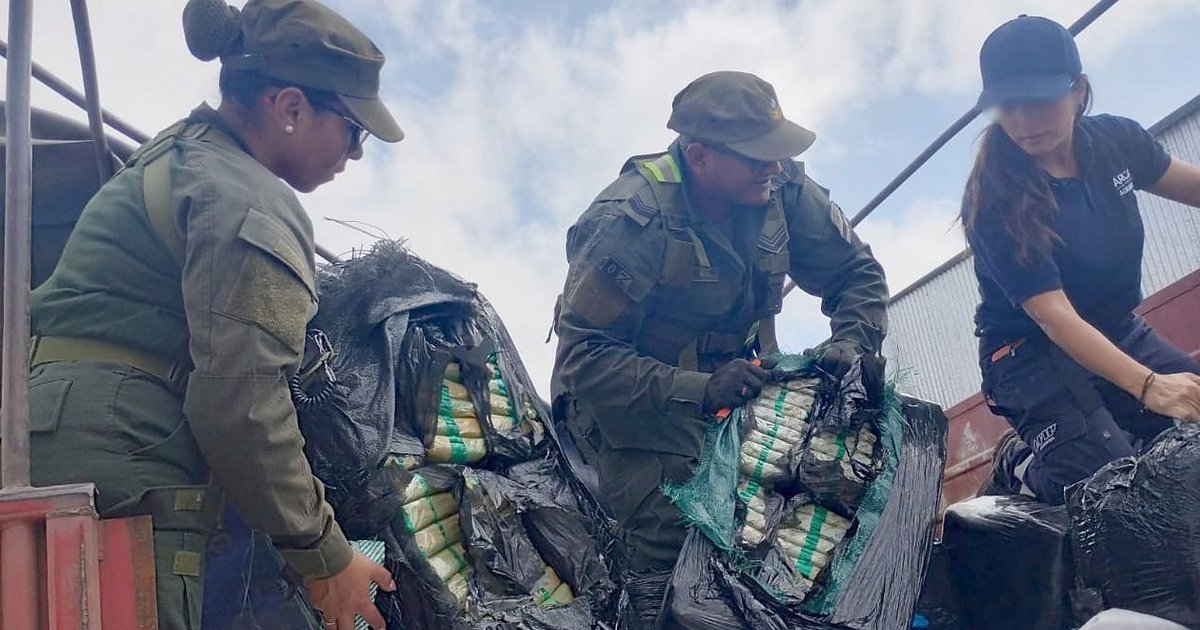 Gendarmería secuestró 420 kilos de hojas de coca ocultos en un camión