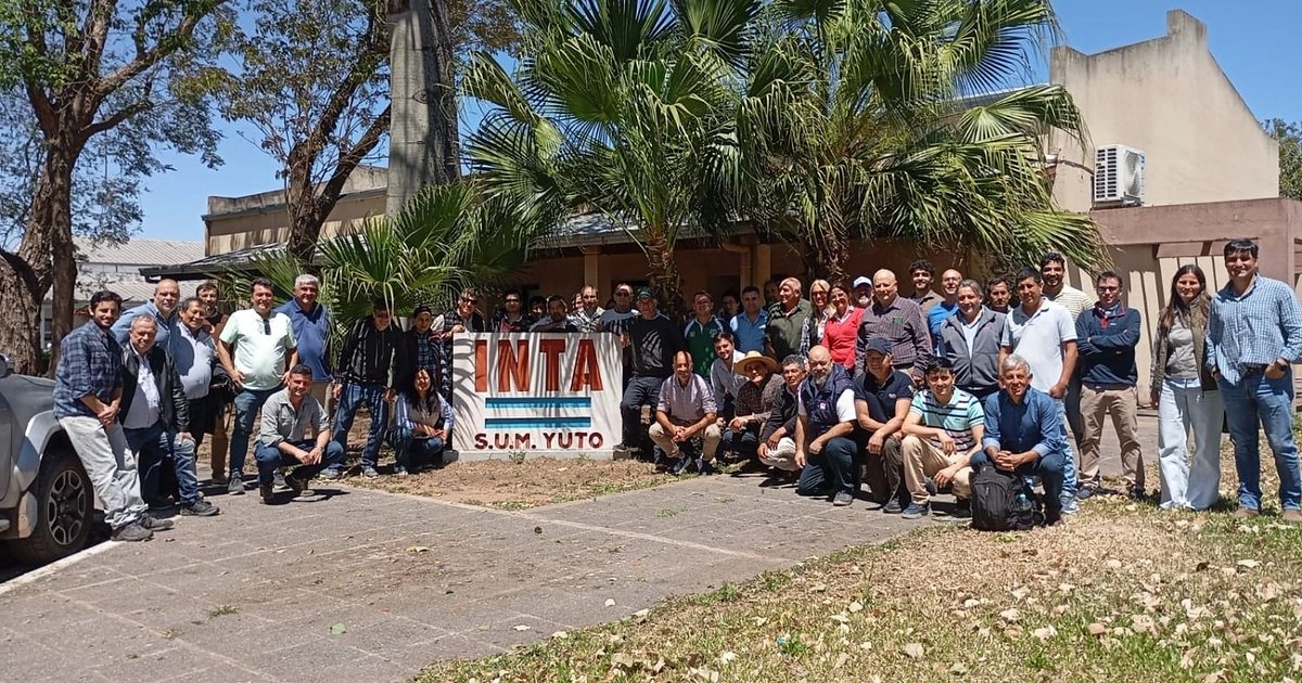 Fortalecen conocimiento sobre el cultivo de palto