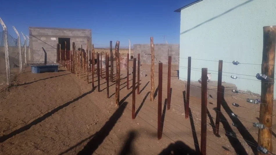 En un mes podría volver a abrir el matadero de Codepo