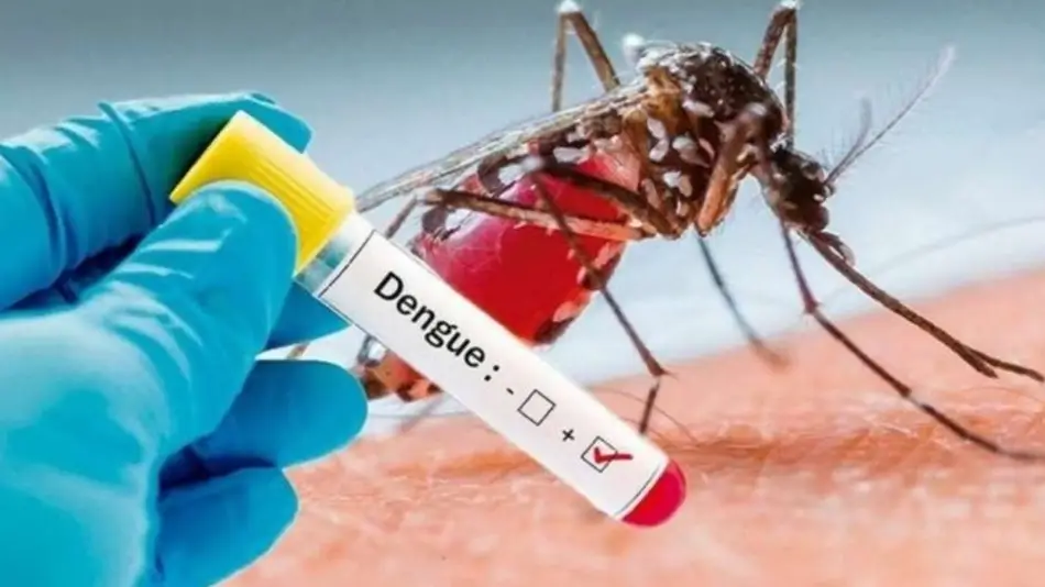 La ANMAT analizará una vacuna contra el dengue que tiene buenos resultados