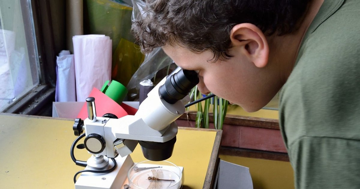 Semana Argentina de la Ciencia y la Tecnología 2023 en Jujuy
