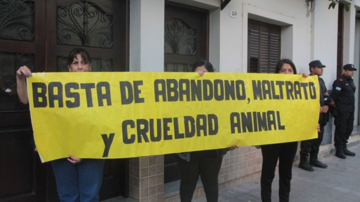 Condenado a 3 años por crueldad animal y abuso