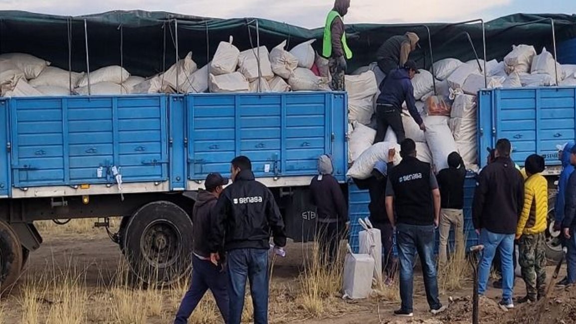 Evitaron el contrabando de 16 toneladas de mercadería