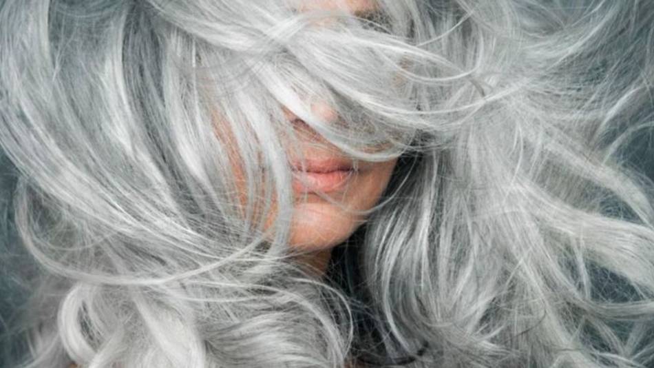 Canas: ¿cada cuánto se deben cubrir para no dañar el cabello?