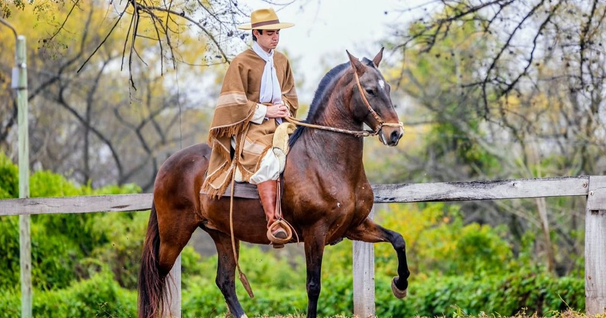 Concurso del Caballo Peruano de Paso