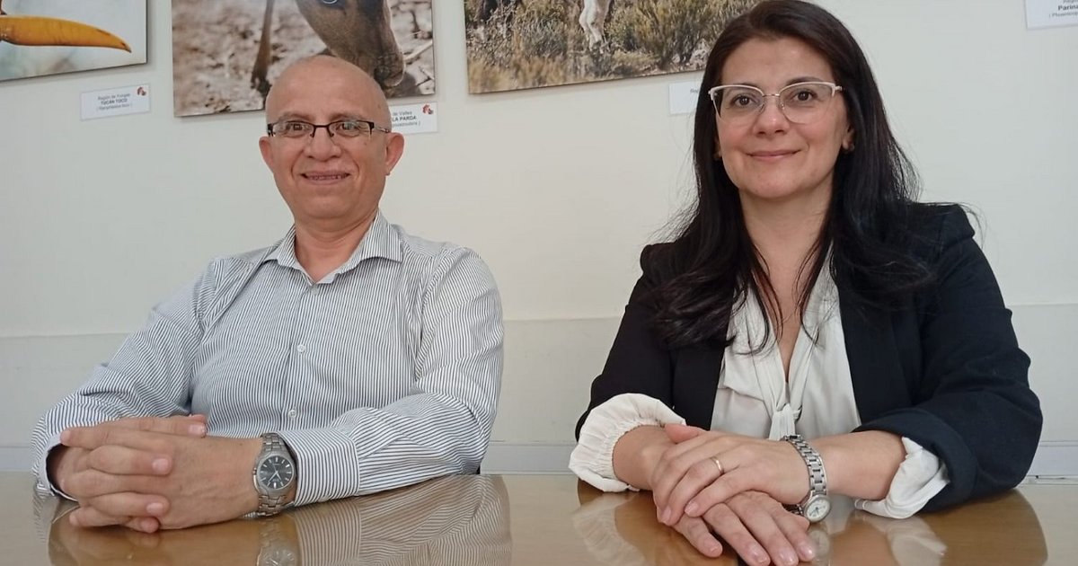 Dictan diplomatura en compliance