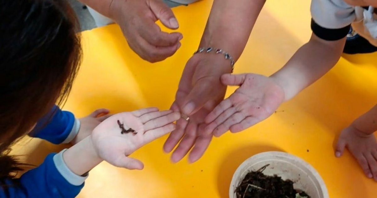 Taller de lombricultura acercó a niñas y niños al cuidado del ambiente
