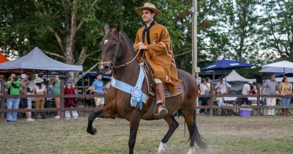 Concurso del Caballo Peruano de Paso inicia en esta ciudad