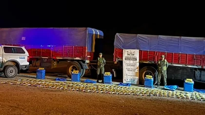 Incautaron 248 kilos de hojas de coca