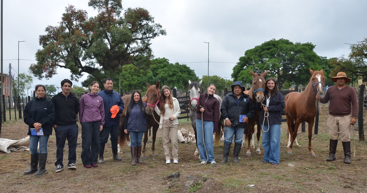 Primeros caballos ya ingresaron a la Rural para el concurso provincial