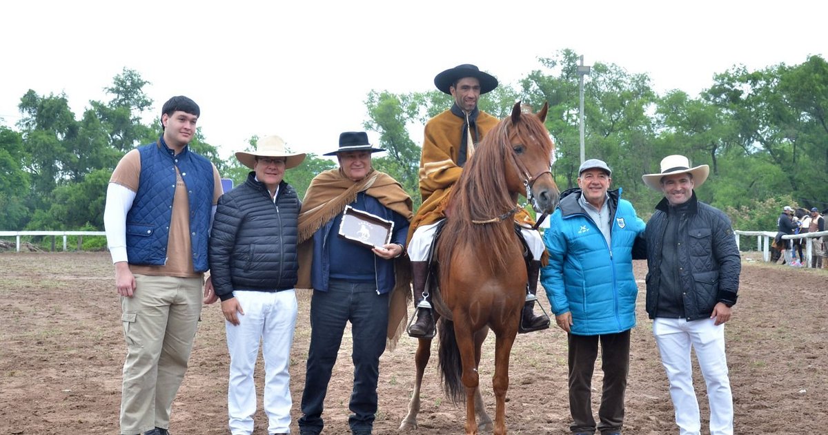 Excelente Concurso del Caballo Peruano de Paso