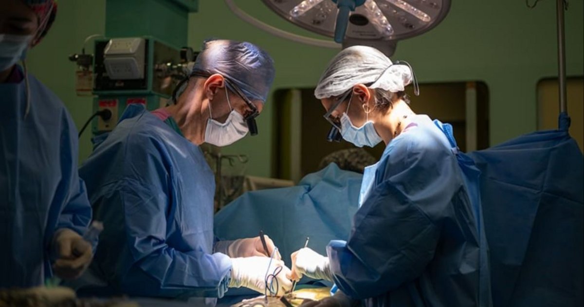 Cirugía inédita en el Garrahan para tratar el corazón de una bebé