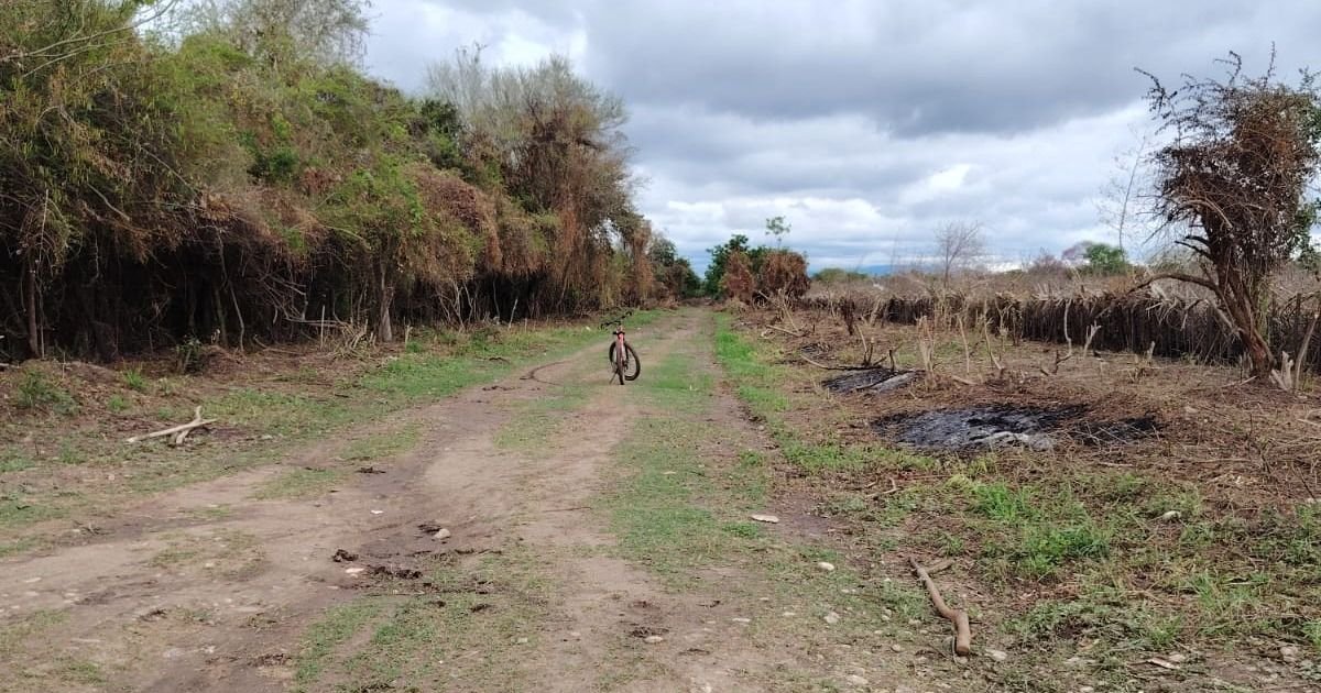 En Vinalito se limpiaron los diversos caminos vecinales