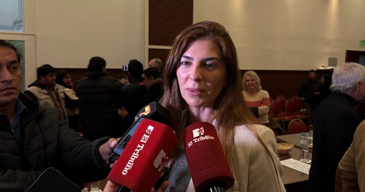 VIDEO. Bettina Romero: “Es inaceptable que los ramales del norte sean optativos”