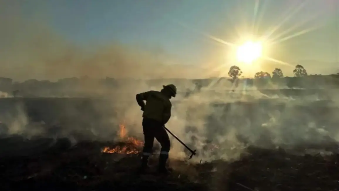 Brigadistas jujeños trabajan para contener el fuego en Salta 