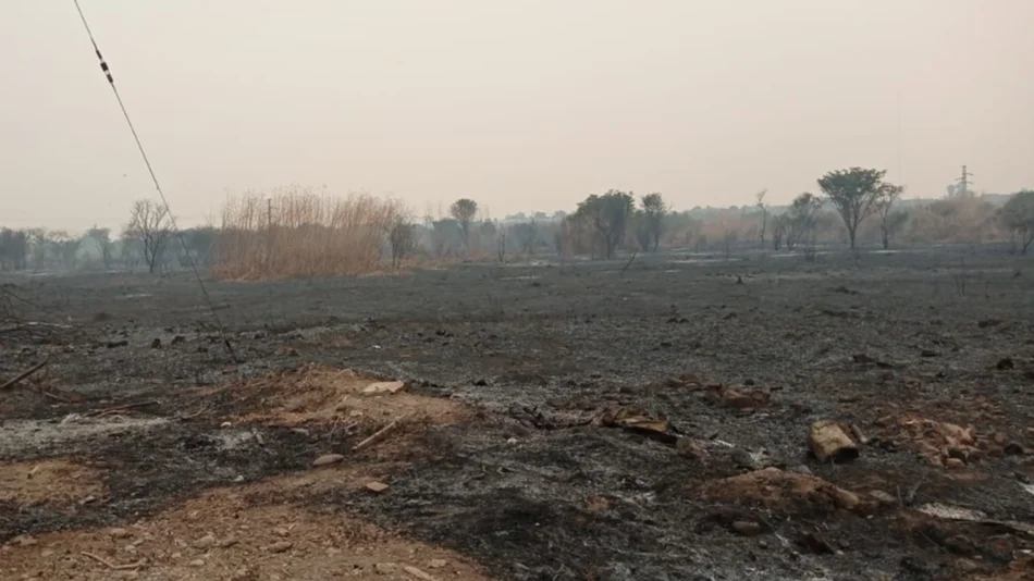 Voraz incendio en asentamiento San Roque de Palpalá