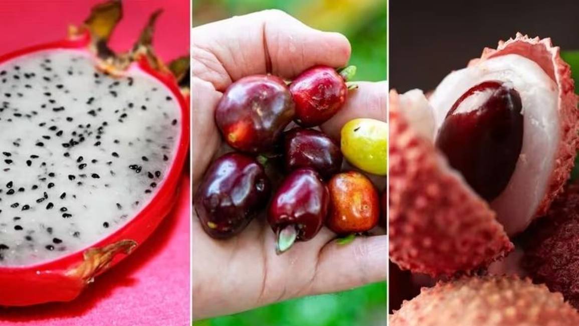 Tres frutas poco conocidas con increíbles beneficios para la salud