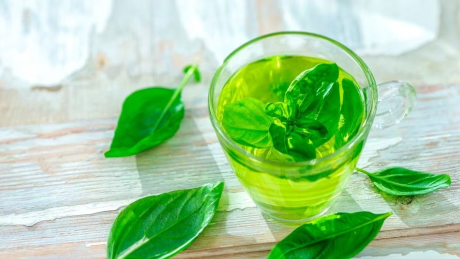 Hierba medicinal que regula el azúcar y combate la diabetes