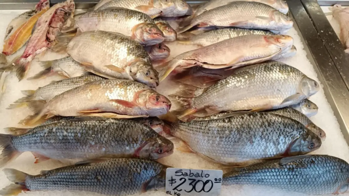 Las pescaderías barriales lucen precios menores que las céntricas - foto tomada con Moto G42