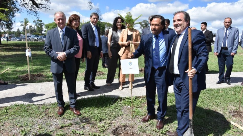 Belgrano Cargas: solicitan participar de privatización