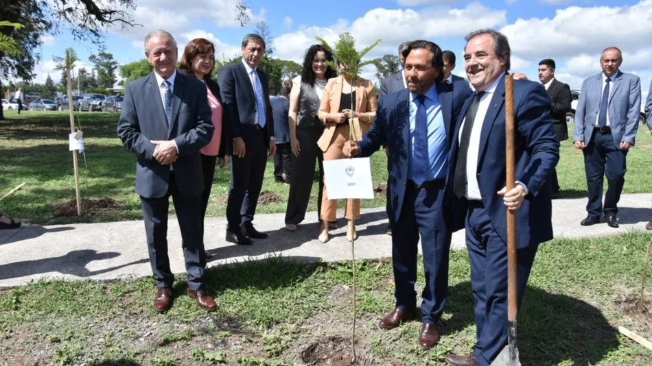 Belgrano Cargas: solicitan participar de privatización