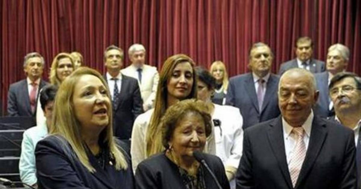 Juró Silvia Giacoppo como senadora nacional