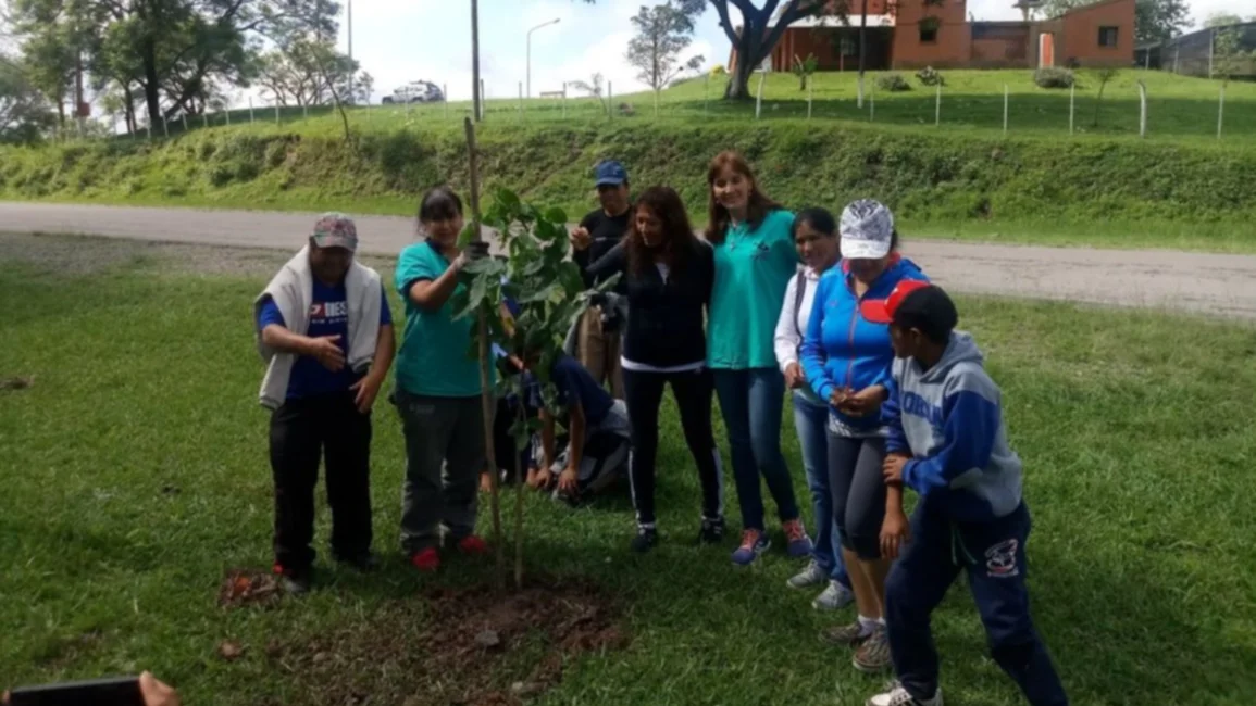 Reforestan los diques con treinta especies nativas