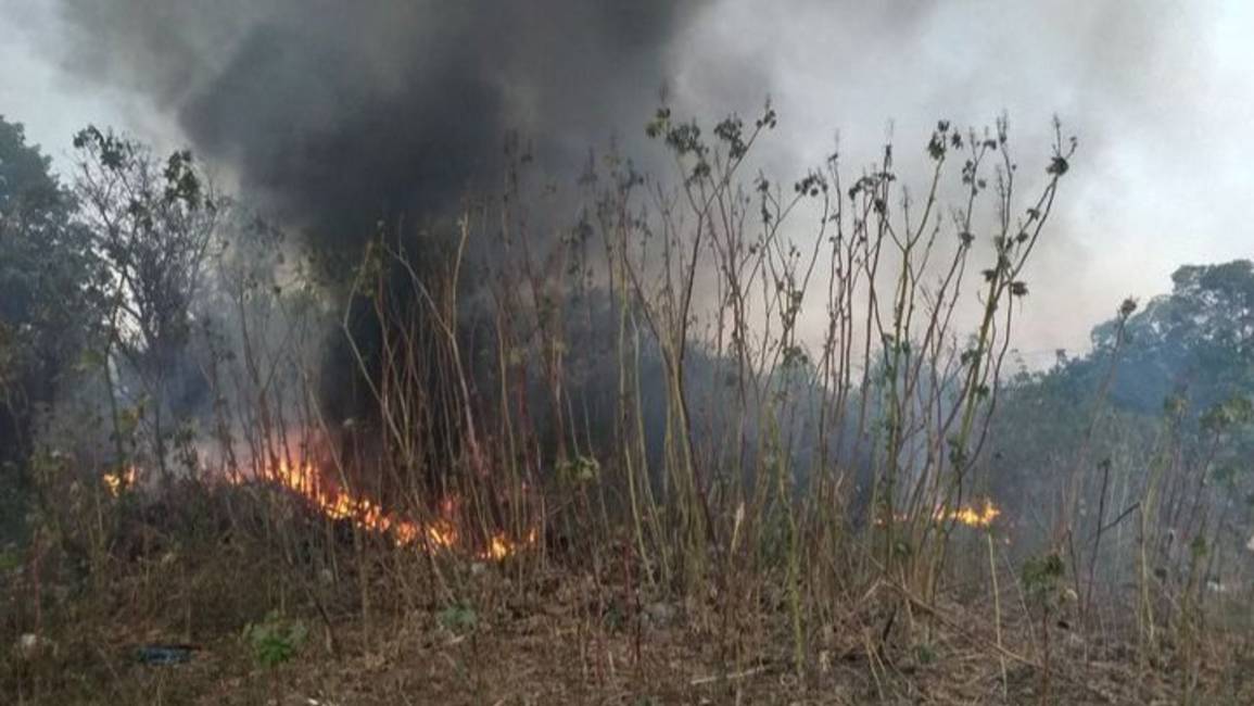 Jujuy, Salta y Tierra del Fuego continúan con focos activos de incendios forestales
