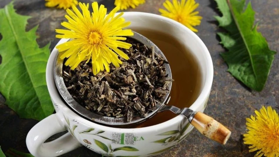 Plantas medicinales que regulan los niveles de azúcar y el colesterol