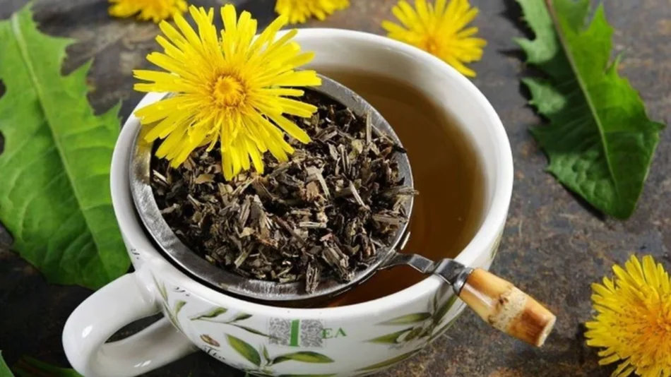 Plantas medicinales que regulan los niveles de azúcar y el colesterol