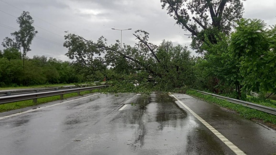San Pablo de Reyes: un árbol caído provocó el corte de la ruta Nacional Nº 9
